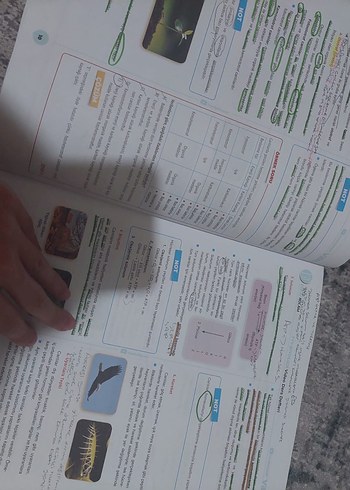 YKS biyoloji - Görsel 3