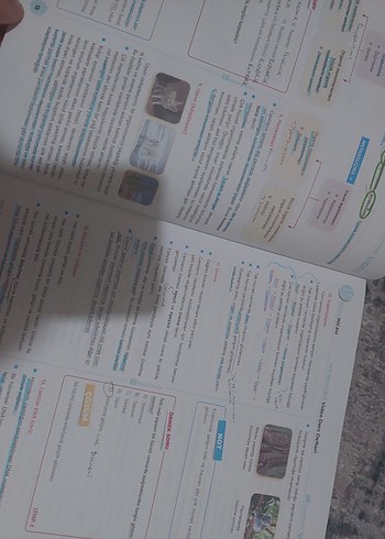 YKS biyoloji - Görsel 4