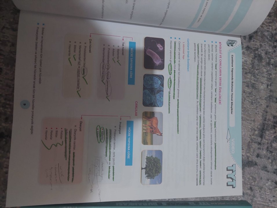 YKS biyoloji - Görsel 2