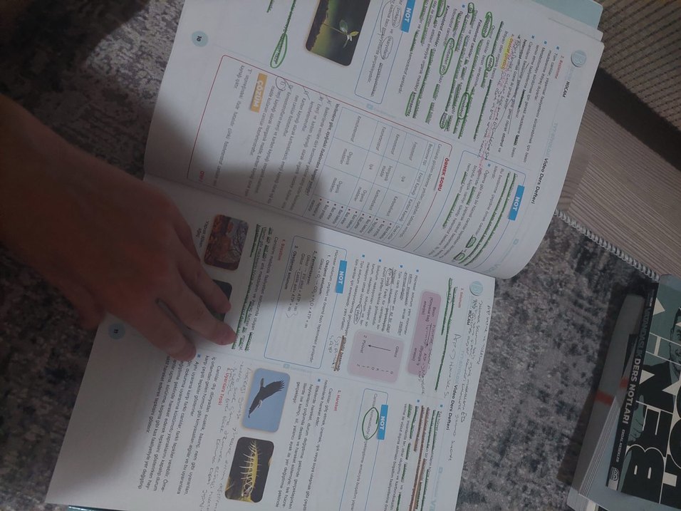 YKS biyoloji - Görsel 3