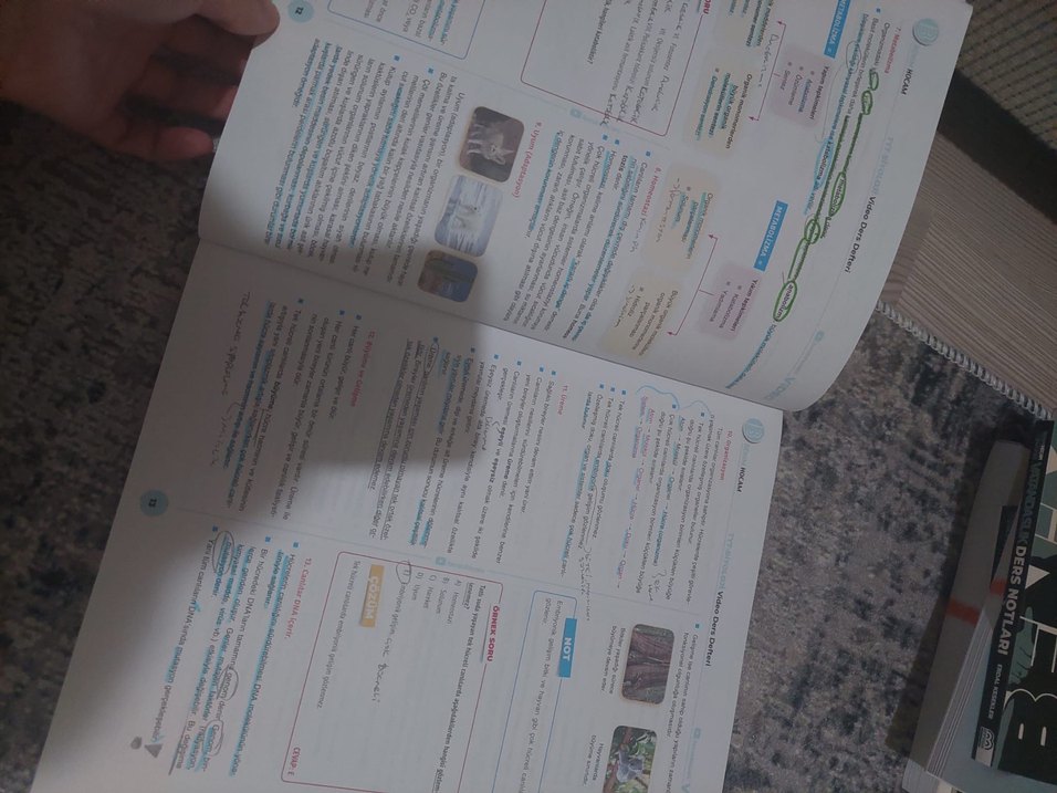 YKS biyoloji - Görsel 4