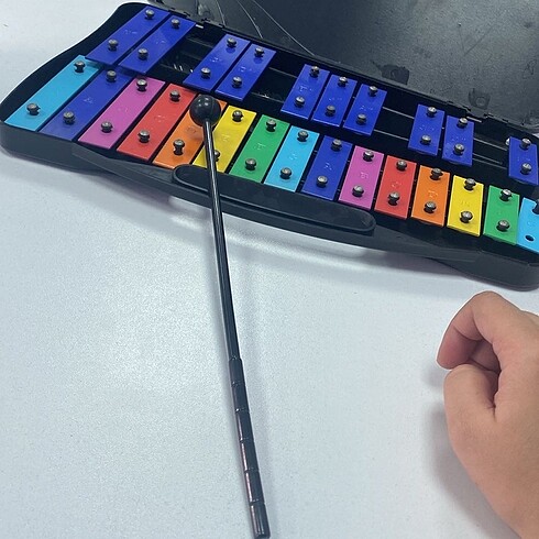 Beden Renk Çantalı Metalafon