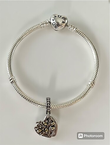 Gümüş pandora charm