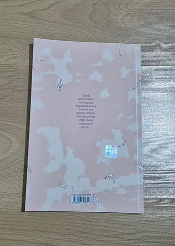 Her Şeye Rağmen - Jordi Lafebre - Görsel 2