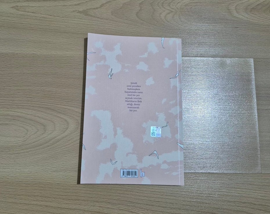 Her Şeye Rağmen - Jordi Lafebre - Görsel 2