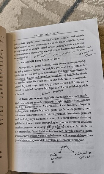  Beden Kültürel antropoloji 