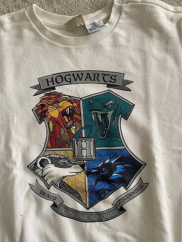LC Waikiki Harry Potter logolu tişört