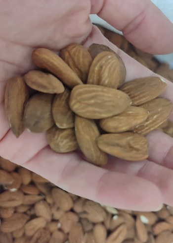 Yerli Üretim Doğal Badem - Görsel 3