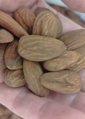 Yerli Üretim Doğal Badem - Görsel 5