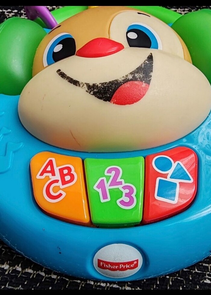 Fisher prize eğitici köpek - Görsel 2