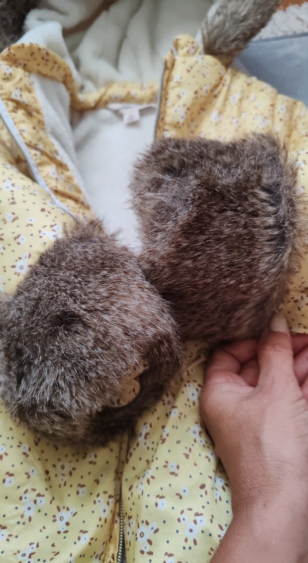 Sarı Kürklü Kapüşonlu Palto - Görsel 3