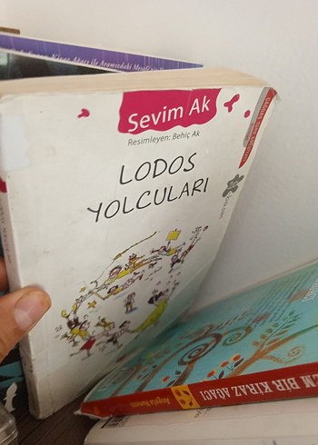 Lodos Yolcuları - Sevim Ak