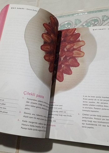 Emine Beder - Çay Saati Romanı - Görsel 4