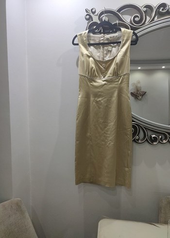 Bej Parlak V Yakalı Abiye Elbise - Görsel 4