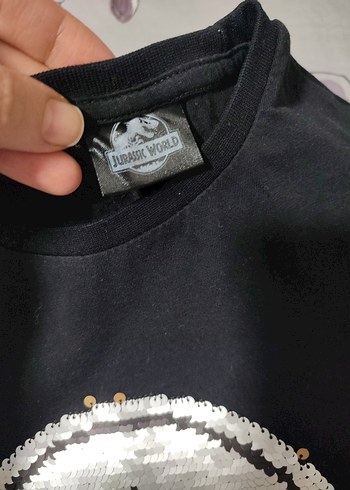 Jurassic World Erkek Siyah payetli Tişört - Görsel 3