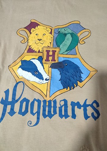 Bej Hogwarts Baskılı Erkek Çocuk Tişörtü - Görsel 2