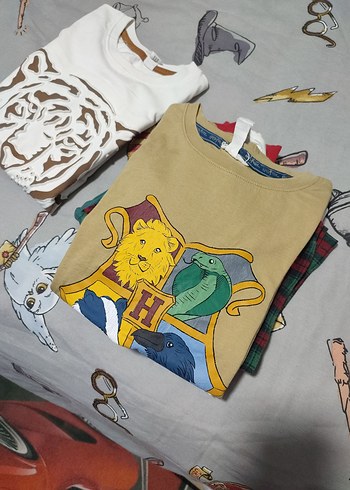 Bej Hogwarts Baskılı Erkek Çocuk Tişörtü - Görsel 3