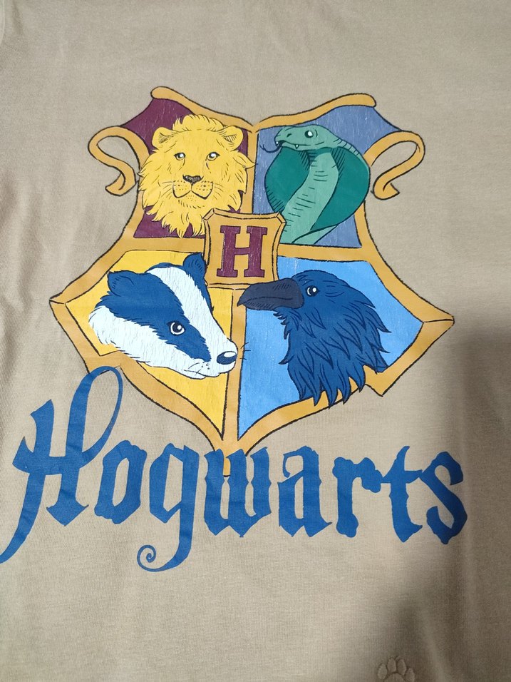 Bej Hogwarts Baskılı Erkek Çocuk Tişörtü - Görsel 2