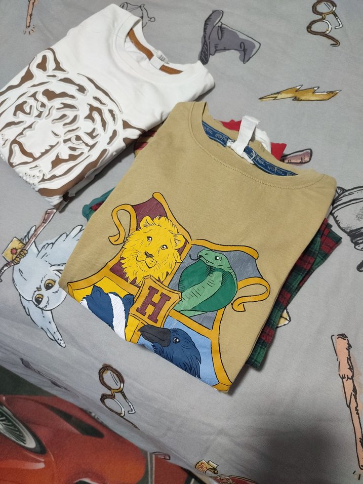 Bej Hogwarts Baskılı Erkek Çocuk Tişörtü - Görsel 3