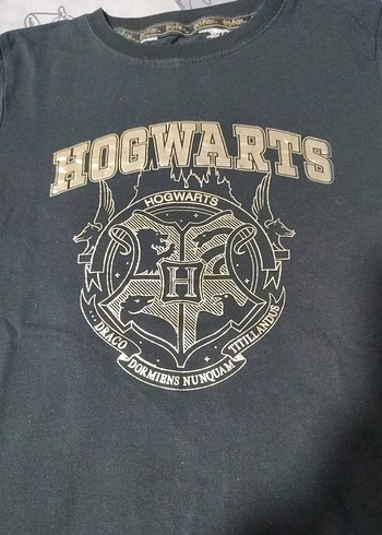 Siyah Hogwarts Baskılı Erkek Tişört - Görsel 2