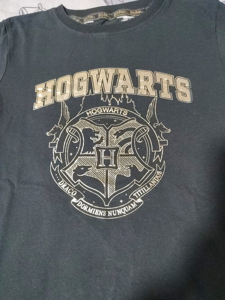 Siyah Hogwarts Baskılı Erkek Tişört - Görsel 2