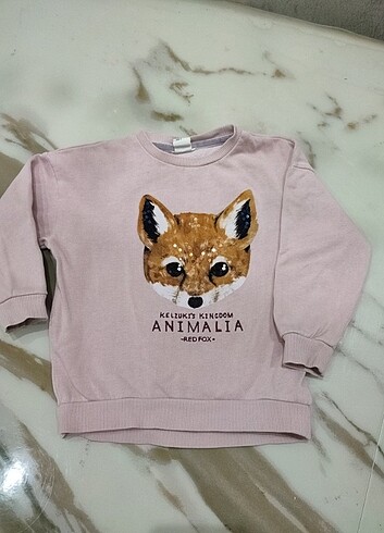 4 Yaş Beden Fox tilki kaliteli flok baskı H&M