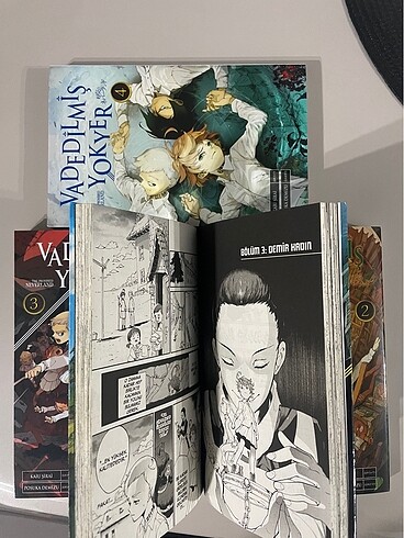 Manga kitap serisi