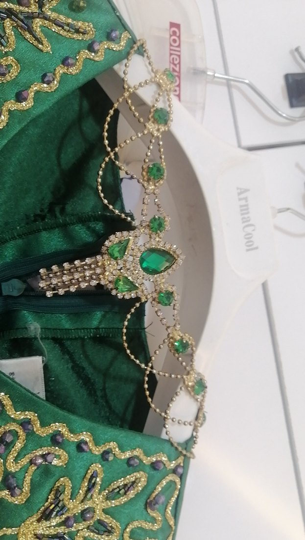 Yeşil Nakışlı Uzun Kadın Hint Elbisesi #kına elbisesi - Görsel 2