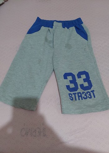 Renkli Erkek Şort - Görsel 5