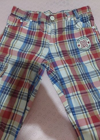 Renkli Erkek Şort - Görsel 2