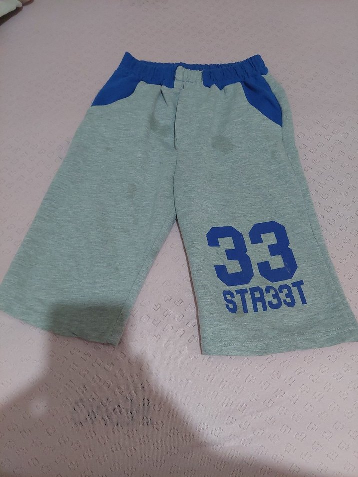 Renkli Erkek Şort - Görsel 5