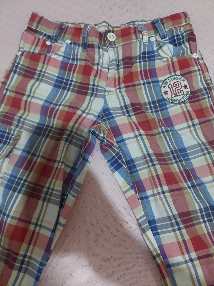 Renkli Erkek Şort - Görsel 2