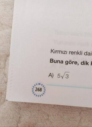  Beden 8. sınıf nitelik yayınları matematik test kitabı