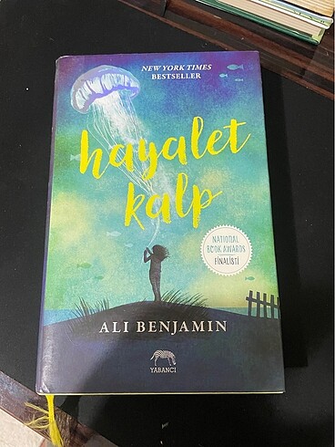 Hayalet kalp