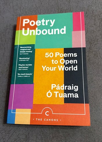 Poetry Unbound - Pádraig Ó Tuama - Görsel 2