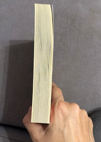 Poetry Unbound - Pádraig Ó Tuama - Görsel 7