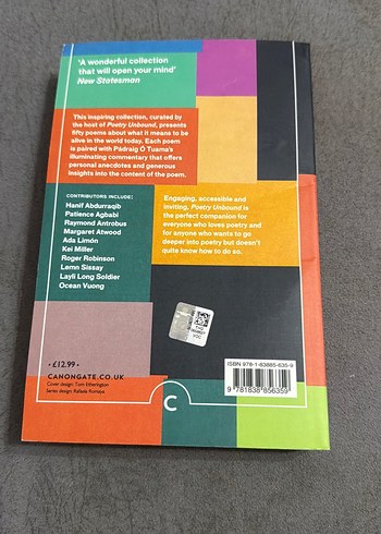 Poetry Unbound - Pádraig Ó Tuama - Görsel 3