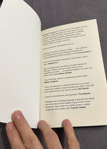 Poetry Unbound - Pádraig Ó Tuama - Görsel 5
