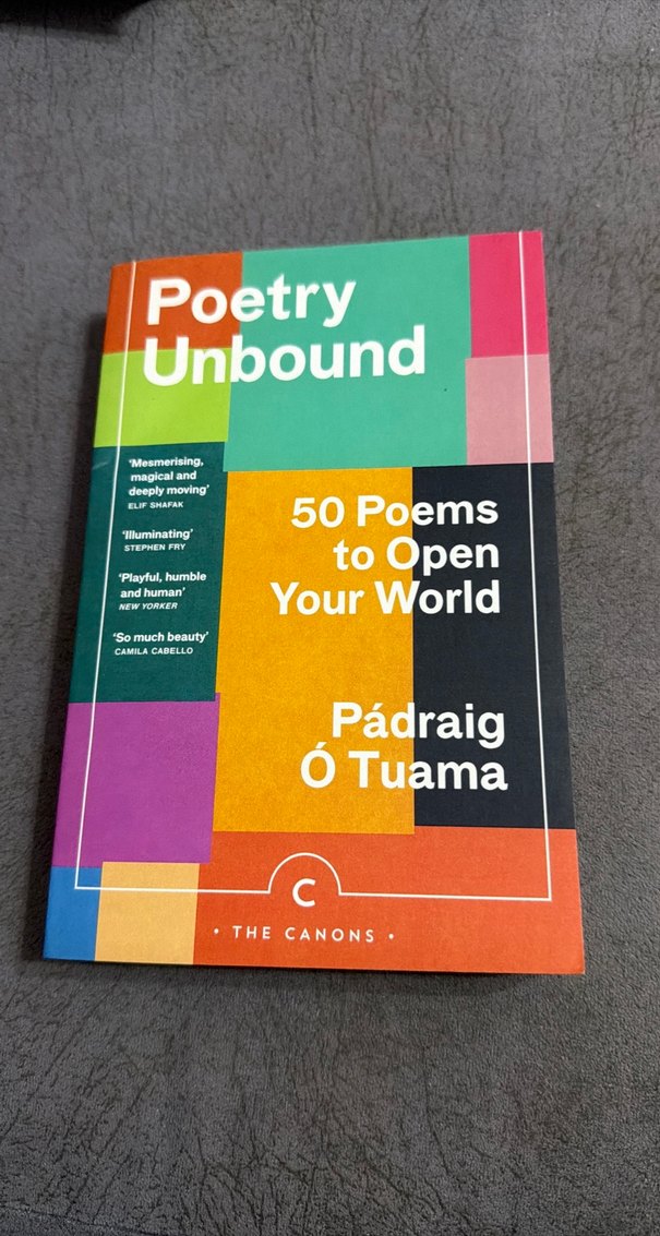 Poetry Unbound - Pádraig Ó Tuama - Görsel 2