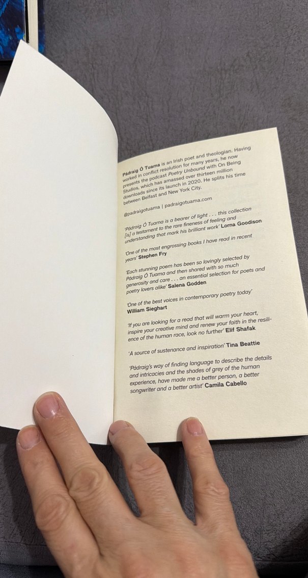 Poetry Unbound - Pádraig Ó Tuama - Görsel 5