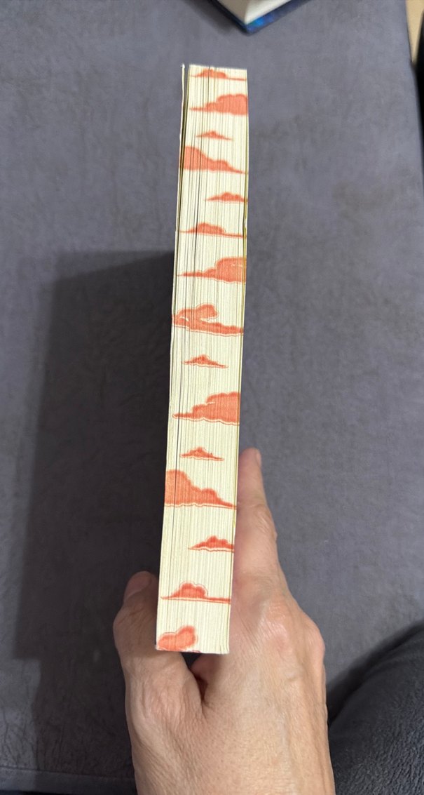 AXIE'O'dan XOXO Romanı - Görsel 5