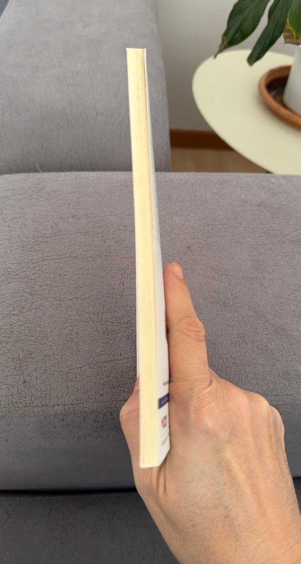 Dante Alighieri - Yeni Hayat - Görsel 5