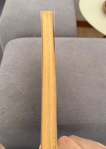 Lady Sings the Blues - Billie Holiday Otobiyografisi - Görsel 3