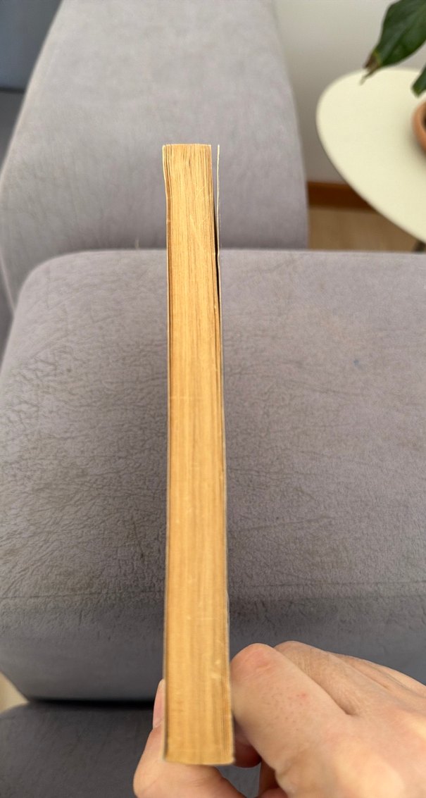 Lady Sings the Blues - Billie Holiday Otobiyografisi - Görsel 3