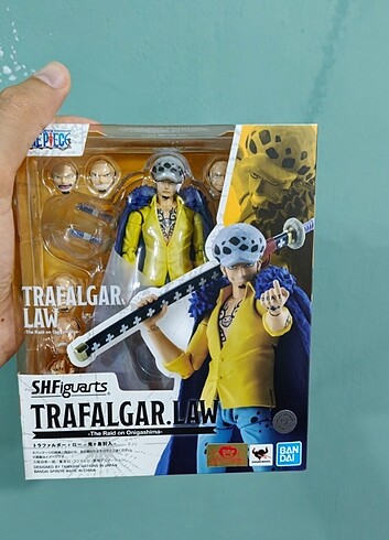 Figuarts law