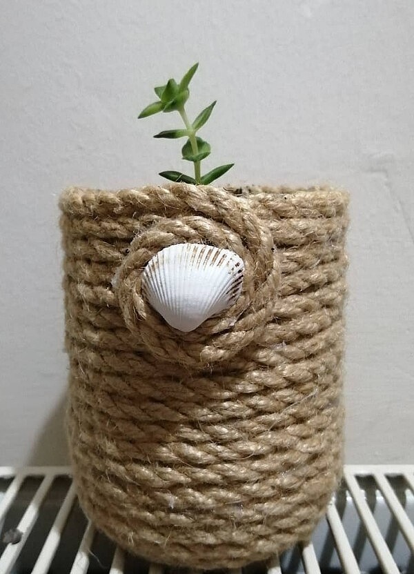 Sukulent  - Görsel 2