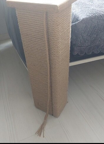  Beden Kedi tırmalama 
