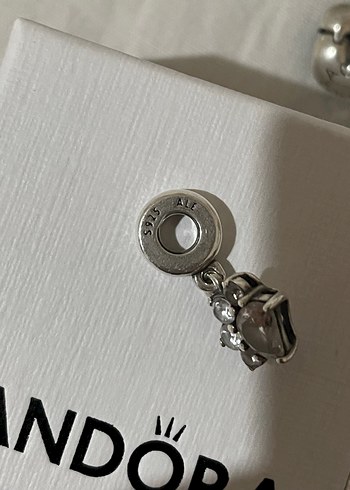 Pandora Pati Charm - Görsel 5