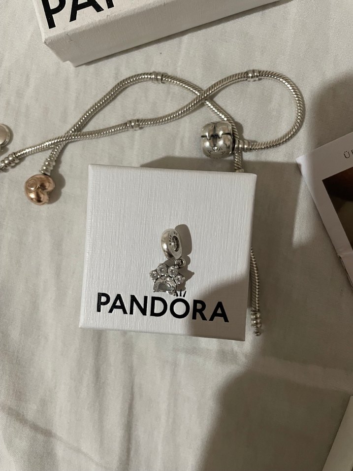 Pandora Pati Charm - Görsel 2