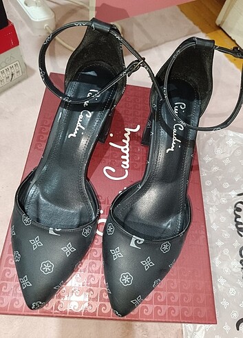 Pierre Cardin